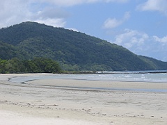 CairnsTC355 Daintree